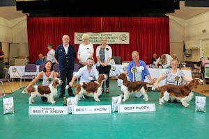 BIS Winners May 2019